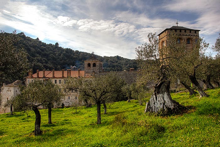 holy monastery hilandar olive garden